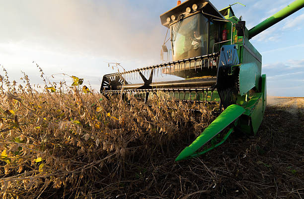 Agriculture